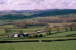 View of Dartmoor